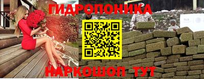 спайс Малгобек