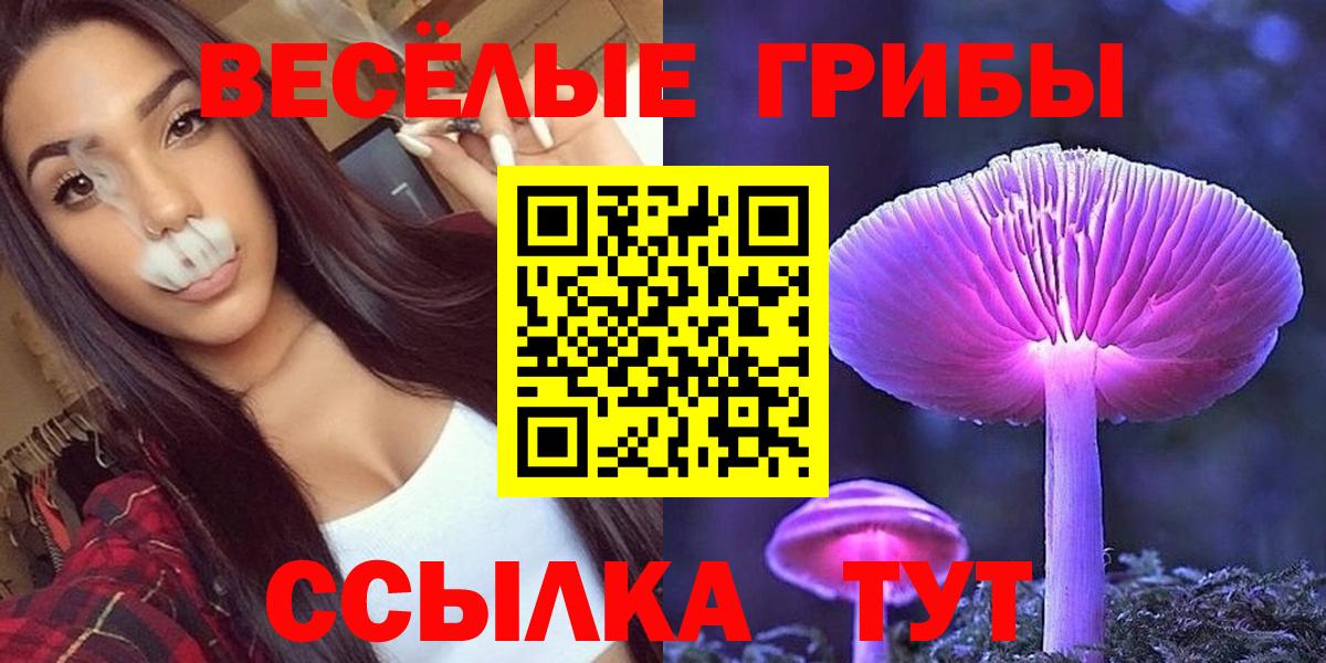 Псилоцибиновые грибы Psilocybine cubensis  Вход с VPN  Верхняя Салда 