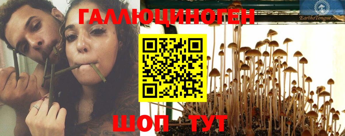 Галлюциногенные грибы Psilocybe Верхняя Салда
