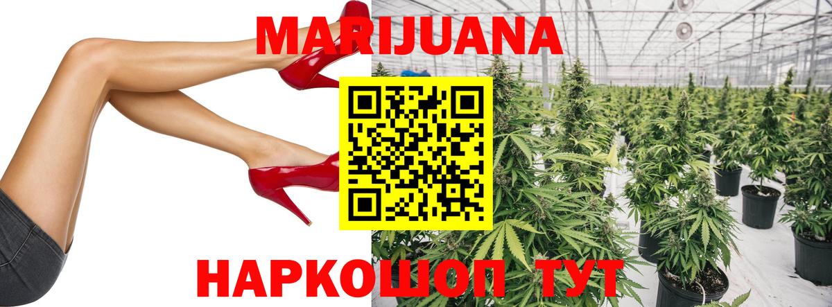 Шишки марихуана план  Вход с VPN  Каннабис White Widow  Верхняя Салда  Канабис планчик  Марихуана сатива 